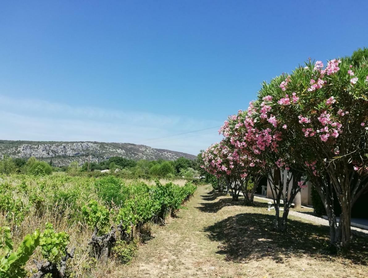 فندق Espace Loisirs Saint-Martin-dʼArdèche المظهر الخارجي الصورة